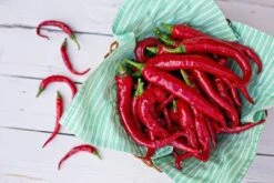 Pepper (Hot) - Cayenne, Red 🔥🔥🔥 12 Pepper (Hot) - Cayenne, Red 🔥🔥🔥 -seedsnow Sales Store 2017 10 12 06.13.01 1623923441626744943 374699122