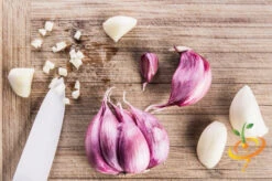 Garlic - (Soft Neck) Early Purple Italian (Organic) -seedsnow Sales Store 700