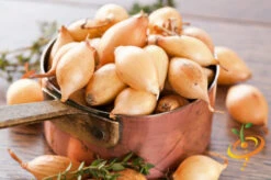 Shallot (sets) - Dutch, Yellow 15 Shallot (sets) - Dutch, Yellow -seedsnow Sales Store 700 11ced46b 801e 42cf 8185 f82d93450da9