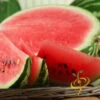 Watermelon - All Sweet -seedsnow Sales Store 700xAll Sweet 700x 87ea4f3b 0664 4465 b78a 83dfd1cdb7bd
