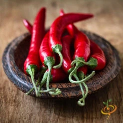 Pepper (Hot) - Cayenne, Red 🔥🔥🔥 15 Pepper (Hot) - Cayenne, Red 🔥🔥🔥 -seedsnow Sales Store 700xCayenne