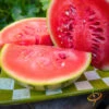 Watermelon - Sugarbaby -seedsnow Sales Store 700xDSC 3785 700x 2a1d0aea cda4 4415 927a 33a344eb2d6d