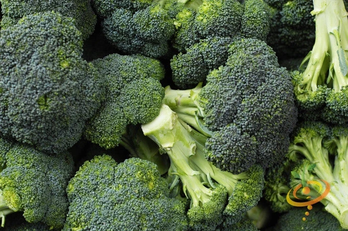Broccoli - Calabrese 5 Broccoli - Calabrese - Image 3