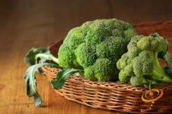 Broccoli - Calabrese 17 Broccoli - Calabrese -seedsnow Sales Store 700xForshopify 40