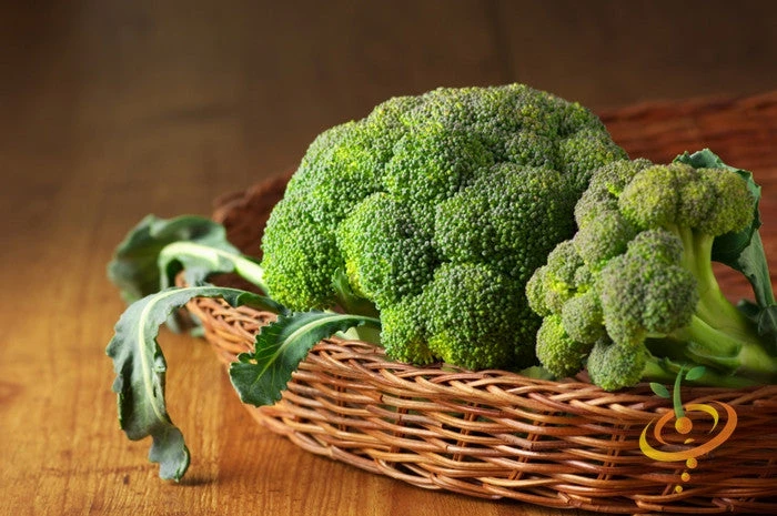 Broccoli - Calabrese 8 Broccoli - Calabrese - Image 6