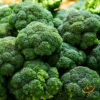 Broccoli - Calabrese -seedsnow Sales Store 700xForshopify 42
