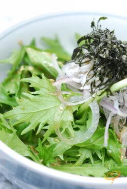 Mustard - Mizuna 17 Mustard - Mizuna -seedsnow Sales Store 700xshutterstock 100517776