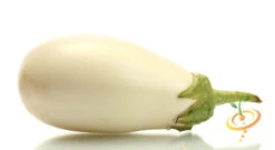 Eggplant - Casper 14 Eggplant - Casper -seedsnow Sales Store 700xshutterstock 108432854