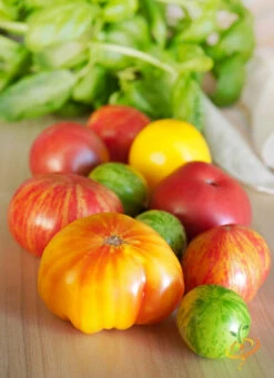 Tomato - Heritage Rainbow Mix (Indeterminate) -seedsnow Sales Store 700xshutterstock 109475894