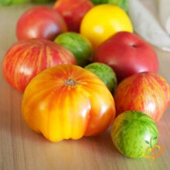 Tomato - Heritage Rainbow Mix (Indeterminate) -seedsnow Sales Store 700xshutterstock 109475894 700x 81fbee95 97e5 4f5e 9321 41f29fa367b2