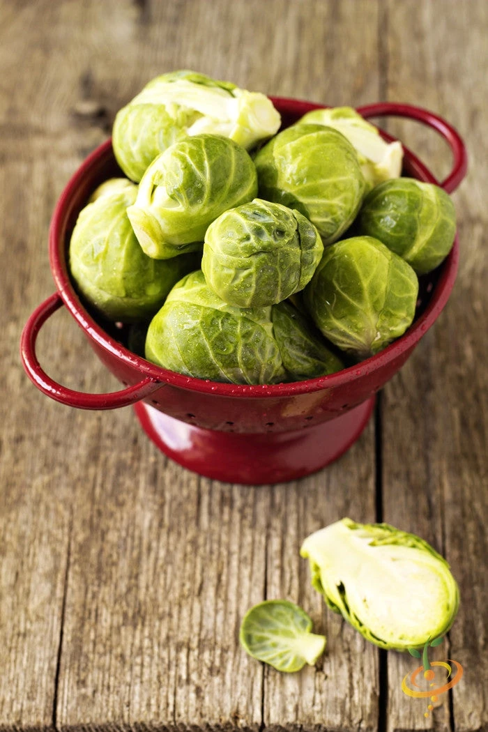 Brussels Sprouts - Long Island Catskill 7 Brussels Sprouts - Long Island Catskill - Image 5