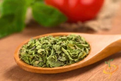 Oregano - Italian 16 Oregano - Italian -seedsnow Sales Store 700xshutterstock 114882517