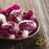 Radicchio - Classic Red (Italian Chicory) -seedsnow Sales Store 700xshutterstock 130968035 700x 81a55d49 917c 4188 b5bb 422e45ec0bc7