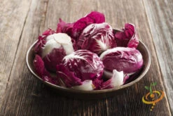 Radicchio - Classic Red (Italian Chicory) -seedsnow Sales Store 700xshutterstock 130968035 856bcbae 2d6d 4bb9 9c70 767ad46c2734
