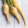 Parsnip - Harris Model -seedsnow Sales Store 700xshutterstock 131179013 700x df6d06cb cb61 487a 8fae baf6c8f01c49