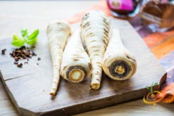 Parsnip - Harris Model -seedsnow Sales Store 700xshutterstock 135534656
