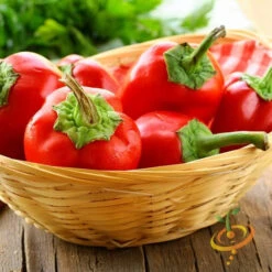 Pepper (Sweet) - Pimento