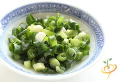 Onion - Evergreen (Bunching) 16 Onion - Evergreen (Bunching) -seedsnow Sales Store 700xshutterstock 138871319