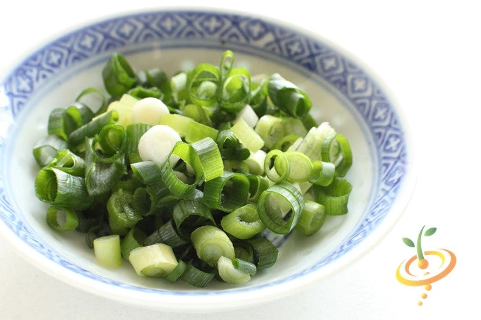 Onion - Evergreen (Bunching) 8 Onion - Evergreen (Bunching) - Image 6