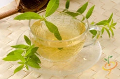 Mint - Lemon -seedsnow Sales Store 700xshutterstock 138952202