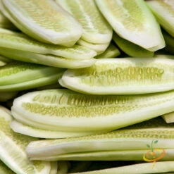 Cucumber - White Wonder 13 Cucumber - White Wonder -seedsnow Sales Store 700xshutterstock 140891278