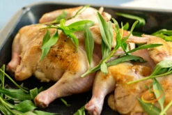 Tarragon (Dragon Wort) -seedsnow Sales Store 700xshutterstock 142207492