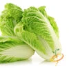 Cabbage - Michihili -seedsnow Sales Store 700xshutterstock 144170077 700x 508a122c 8ec5 417f 83ca f5d9894f9792