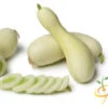 Cucumber - White Wonder 2 Cucumber - White Wonder -seedsnow Sales Store 700xshutterstock 146212313 700x fb757160 dacc 46b9 af9d e72f9e3dddf2