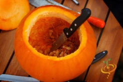 Pumpkin - Jack O' Lantern -seedsnow Sales Store 700xshutterstock 148639730
