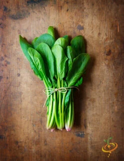 Spinach - Bloomsdale -seedsnow Sales Store 700xshutterstock 151636469