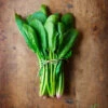 Spinach - Bloomsdale -seedsnow Sales Store 700xshutterstock 151636469 700x 0c3d0ac1 eabc 4c11 95c6 69eaf5c60708