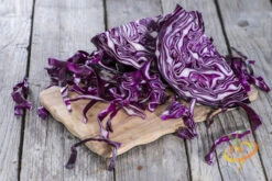 Cabbage - Mammoth Red Rock -seedsnow Sales Store 700xshutterstock 152293970