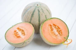 Melon (Cantaloupe) - Hales Best Jumbo -seedsnow Sales Store 700xshutterstock 154216889