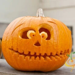 Pumpkin - Jack O' Lantern