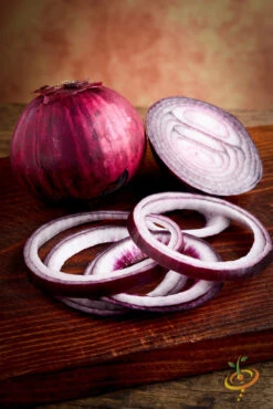 Onion - Red Burgundy (Short Day) 11 Onion - Red Burgundy (Short Day) -seedsnow Sales Store 700xshutterstock 156468806