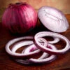 Onion - Red Burgundy (Short Day) -seedsnow Sales Store 700xshutterstock 156468806 700x 5b4b4ec6 353d 400e 8204 390c2f591ba9
