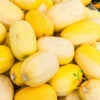 Squash (Winter) - Spaghetti 2 Squash (Winter) - Spaghetti -seedsnow Sales Store 700xshutterstock 159190220 700x 33dd9abe 79f3 4728 aef0 7eee5b078bc7
