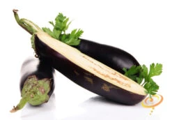Eggplant - Florida Market -seedsnow Sales Store 700xshutterstock 160490177