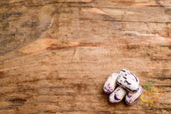 Bean, Bush - Borlotti -seedsnow Sales Store 700xshutterstock 162337859