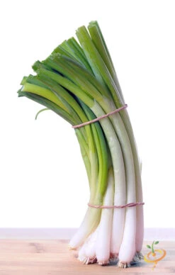Onion - Evergreen (Bunching) 17 Onion - Evergreen (Bunching) -seedsnow Sales Store 700xshutterstock 164390381
