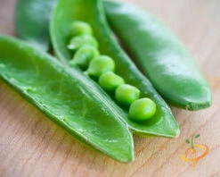 Pea (Snap) - Sugar Ann -seedsnow Sales Store 700xshutterstock 174336365