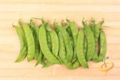 Pea (Snow) - Oregon Giant 24 Pea (Snow) - Oregon Giant -seedsnow Sales Store 700xshutterstock 179579543 abe7a0f7 c82c 4276 af5f 35d77bcf3622