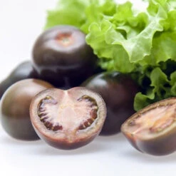 Tomato - Cherry, Black (Indeterminate)