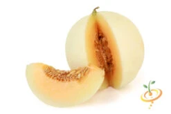 Melon (Honeydew)- Orange Flesh -seedsnow Sales Store 700xshutterstock 180578585