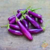 Eggplant - Long Ping Tung 1 Eggplant - Long Ping Tung -seedsnow Sales Store 700xshutterstock 182017742
