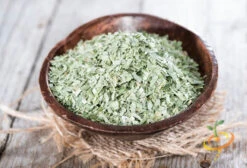 Tarragon (Dragon Wort) -seedsnow Sales Store 700xshutterstock 182486543