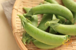 Pea (Snap) - Sugar -seedsnow Sales Store 700xshutterstock 184170446