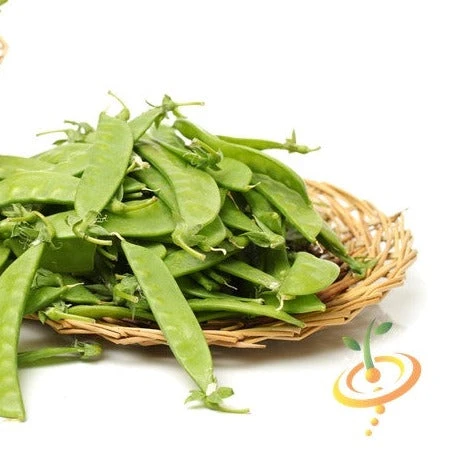 Pea (Snow) - Oregon Giant 4 Pea (Snow) - Oregon Giant - Image 2