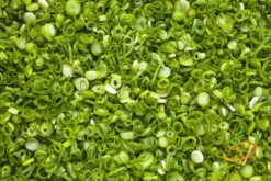 Onion - Tokyo Long White (Bunching), Scallion 17 Onion - Tokyo Long White (Bunching), Scallion -seedsnow Sales Store 700xshutterstock 185083847