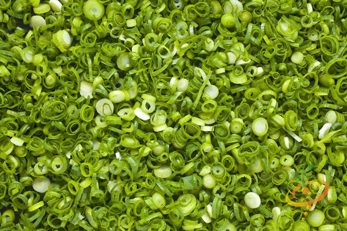 Onion - Tokyo Long White (Bunching), Scallion 9 Onion - Tokyo Long White (Bunching), Scallion - Image 7